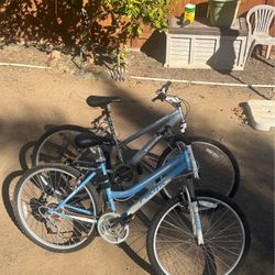  Kent Terra 2.6 and Pacific Exploit Mountain Bikes