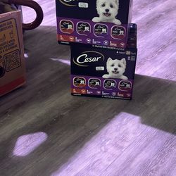 2 Boxes Dog Food