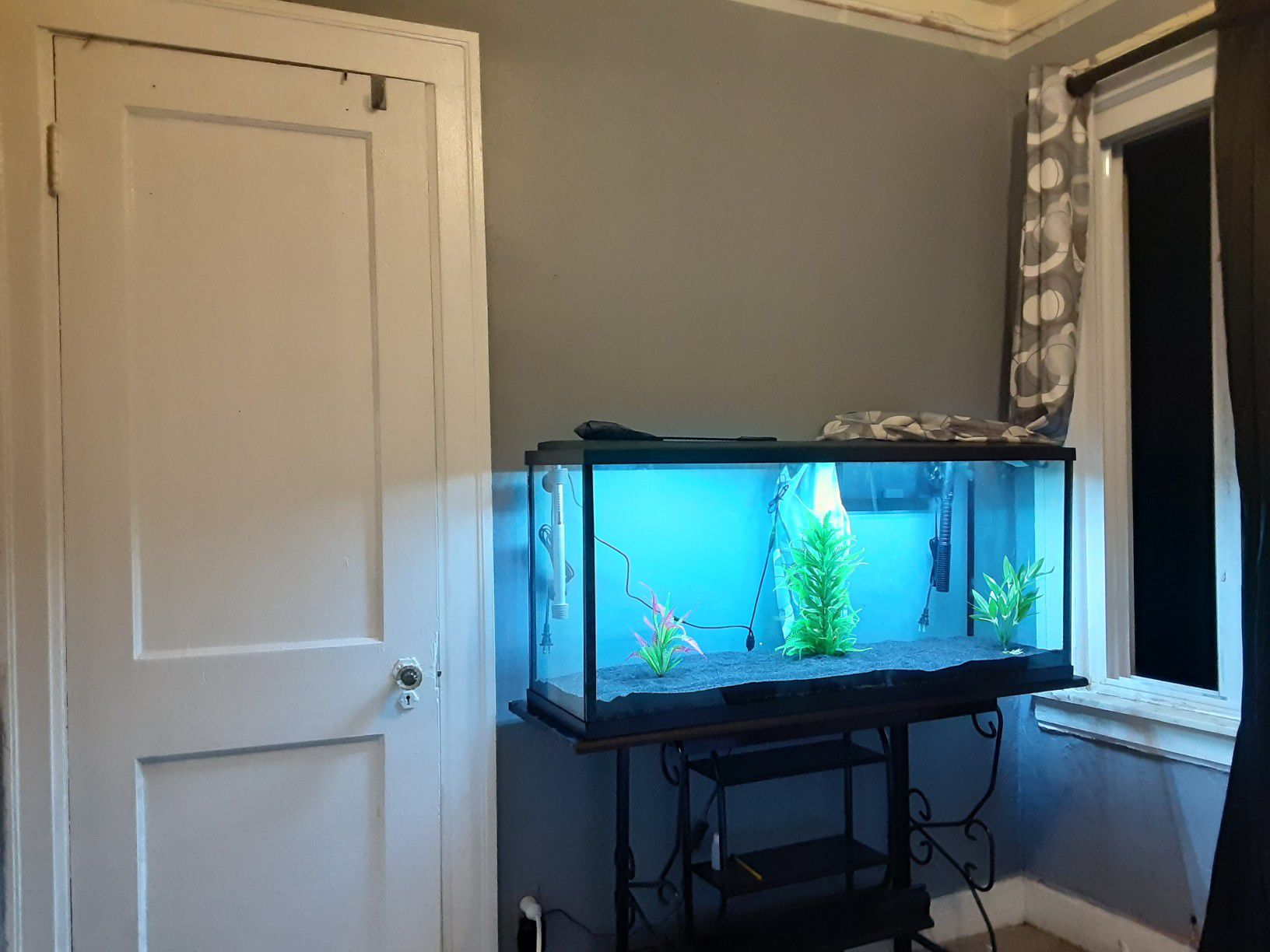 Brand new 55 gallon aquarium full setup