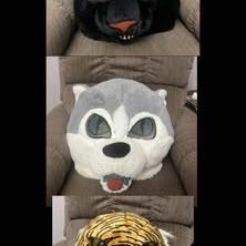 Halloween Masks