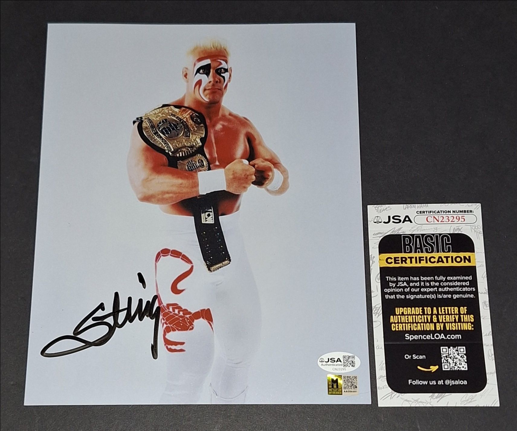 ๐ฅ Sting autographed 8x10 JSA COA ๐ฅ