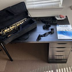 Alto Saxophone ( Color: Black And Gold )