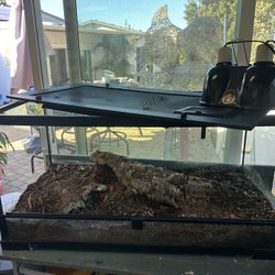 VIVARIUM Terrarium 36x18x18