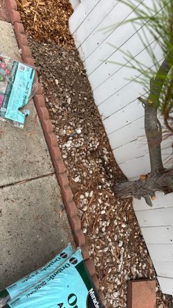 Free rocks