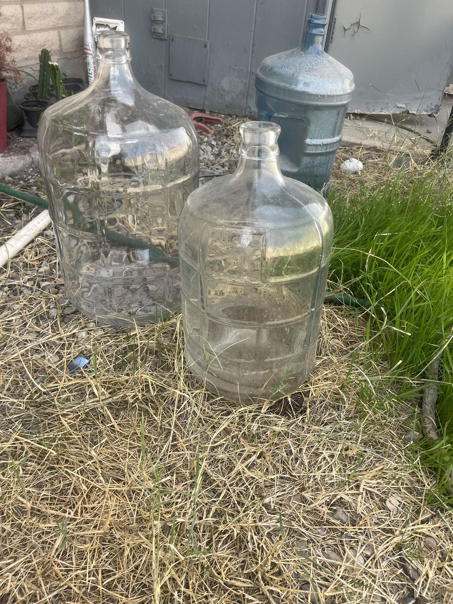 Carboys 3-6 Gal