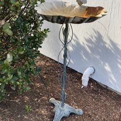 Bird Bath 