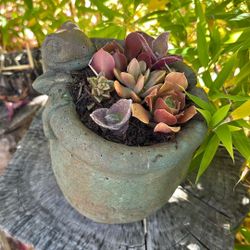 Succulent Pot