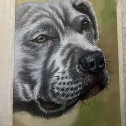 Dog Drawn With Pastels Selling For $50