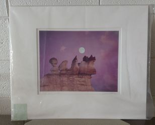 Picture 20 x 24