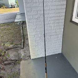 Daiwa Encase Surf Rod Set + Tsunami Carbon Shield iii