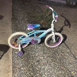 Frozen Bike
