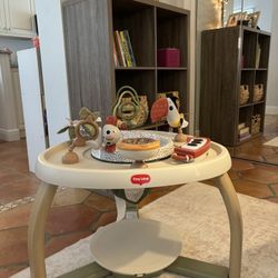 Baby Activity Center