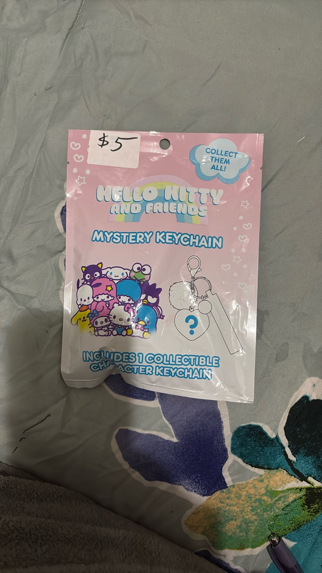 Hello Kitty And Friends Mystery Keychain 