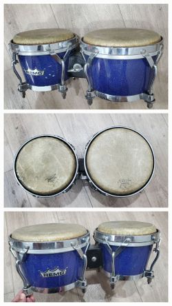 Remo Valencia Bongos