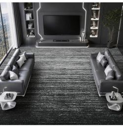 LIANLAM 8x10 Silver Infused Self-Cleaning Rug,for Living Room (8x10,Black) | NASA-inspired silver infused fabric washable rug,long-lasting surface fre