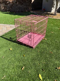Medium Wire Dog Crate
