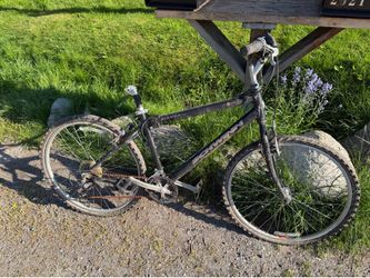 Free Schwinn Bike
