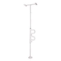 Security Pole & Curve Grab Bar 