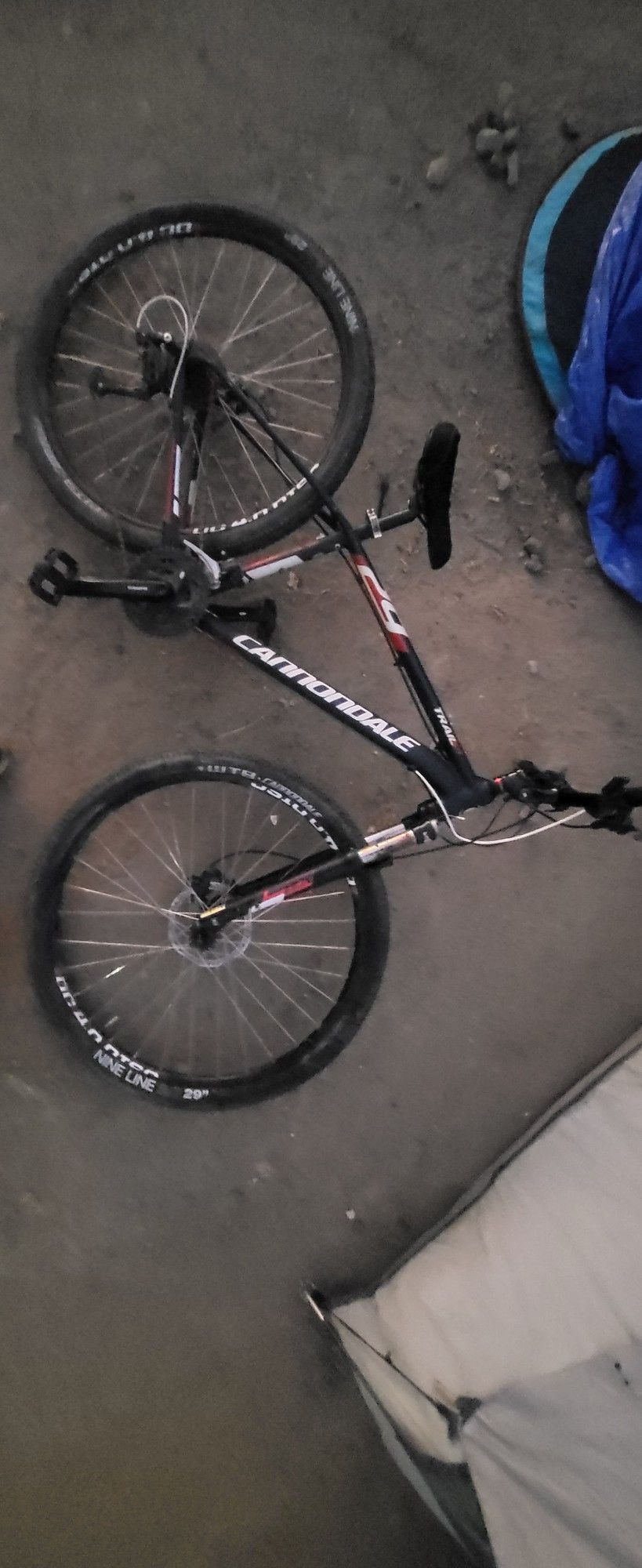 29" Cannondale
