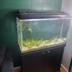 45 Gallon Fish Tank