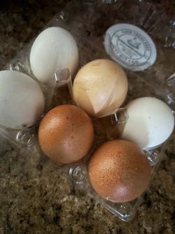 Eggs Huevos de Rancho