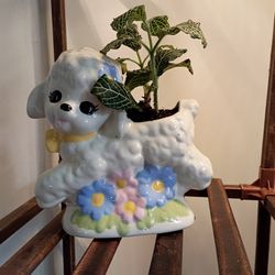 Cute Lamb Plant Holder With Plant
