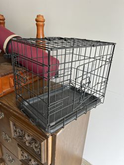 Small Animal Carrier 