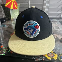 Toronto Blue Jays Hat