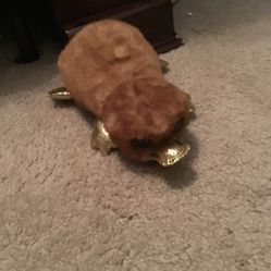 Sparkly Bever