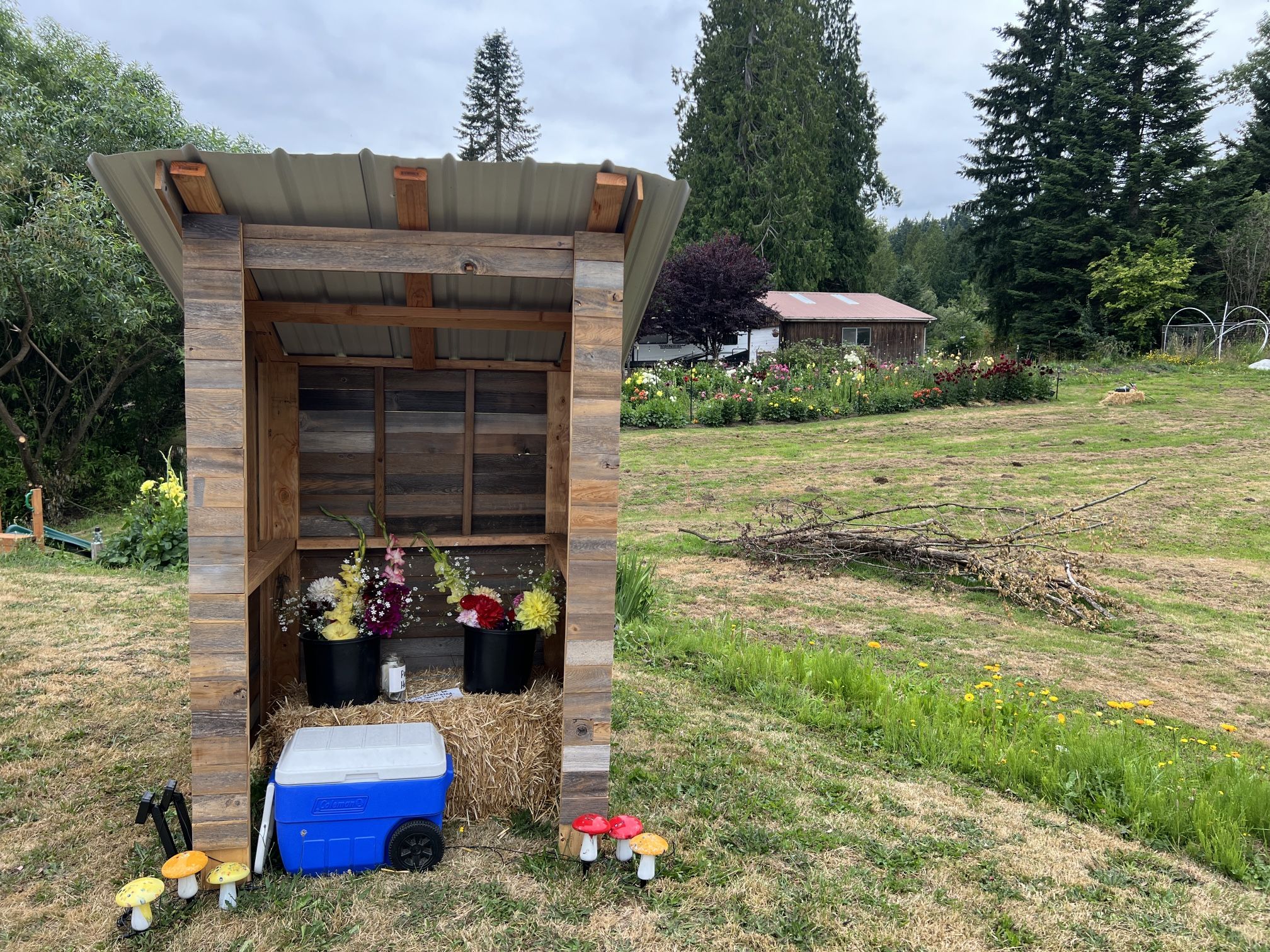 Flowers And farm Fresh Eggs Stinky foot farm