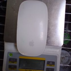 Apple Mouse 