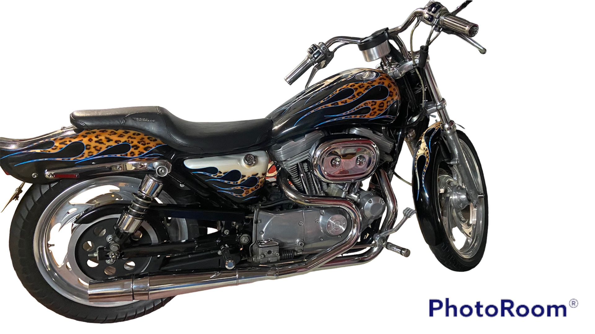  Harley Davidson Sportster Custom Low Low Miles 