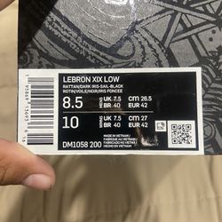 Lebron Shoes