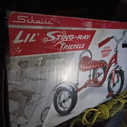 Little Sting Ray Trike