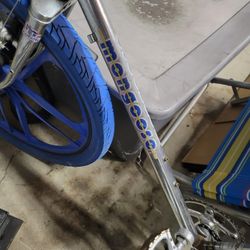 Mongoose From The 80's .