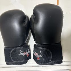 Boxing Gloves, 14 Ounce Leather