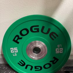 Weight Plate 25 Lb