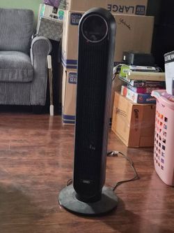 Fan