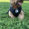 Oscar