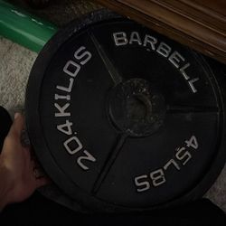 2 45lb Cast Iron Plates 