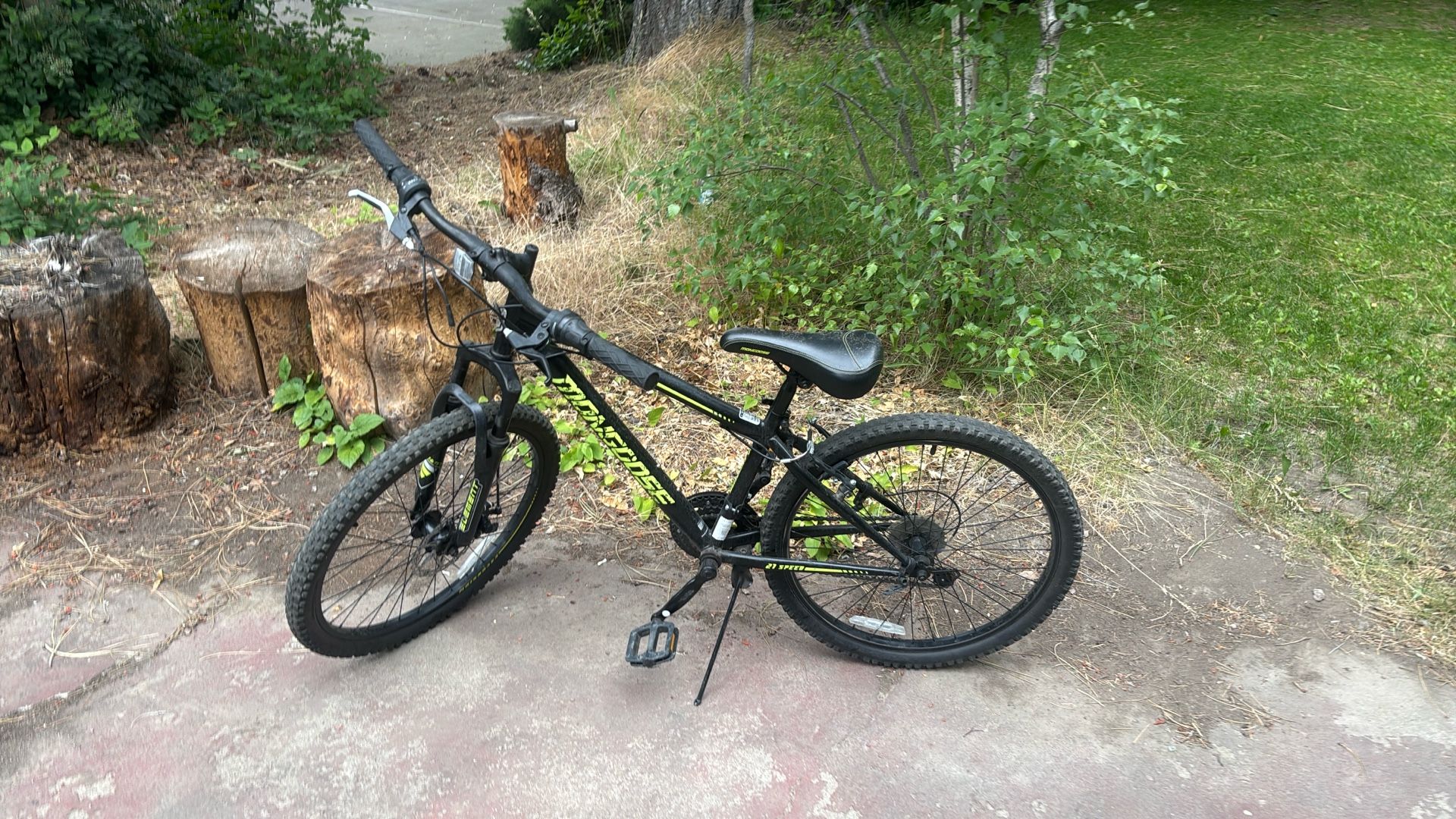 Mongoose Children’s Bike