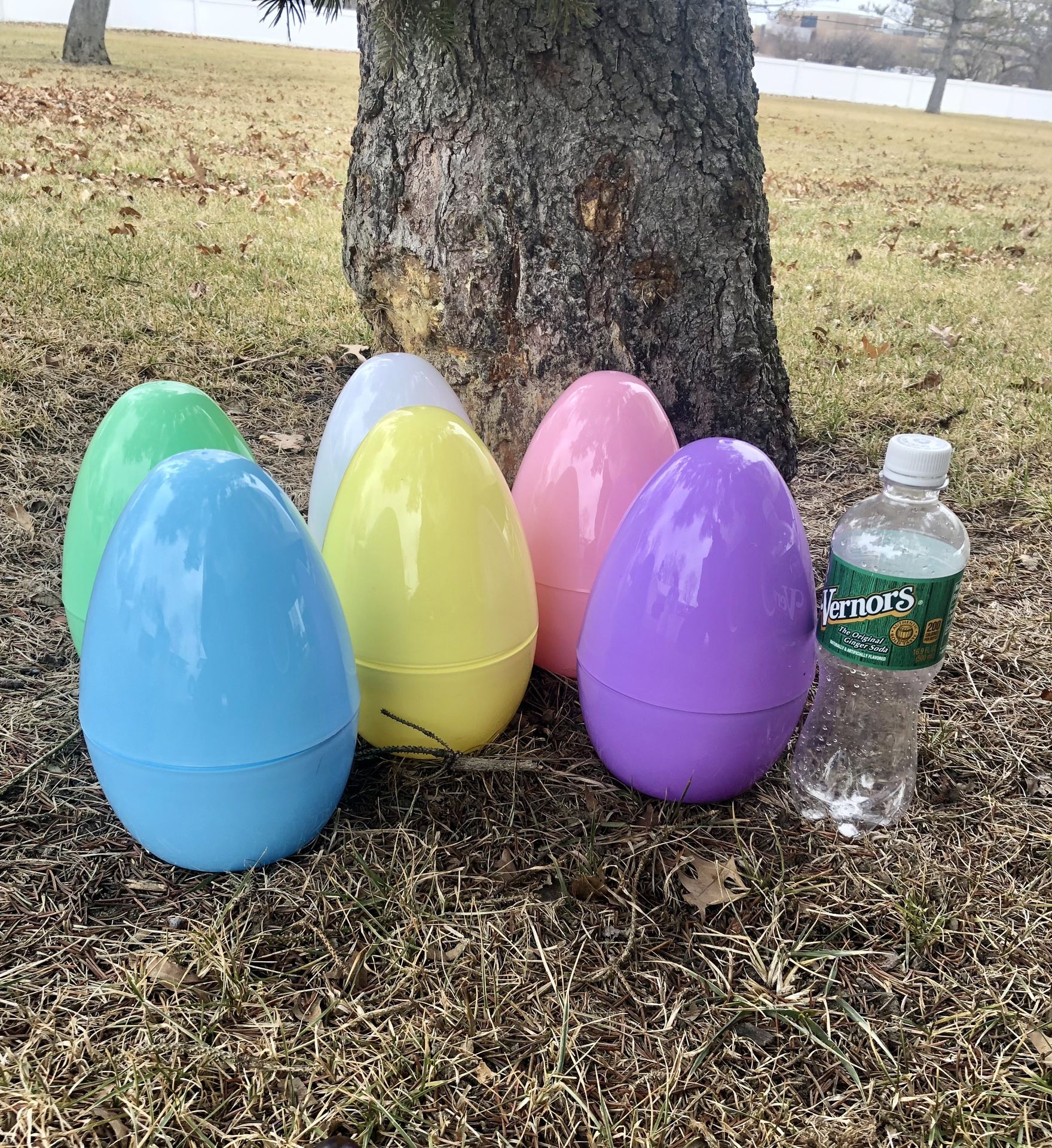 Large Fillable Eggs $3 Each Or 2/$5