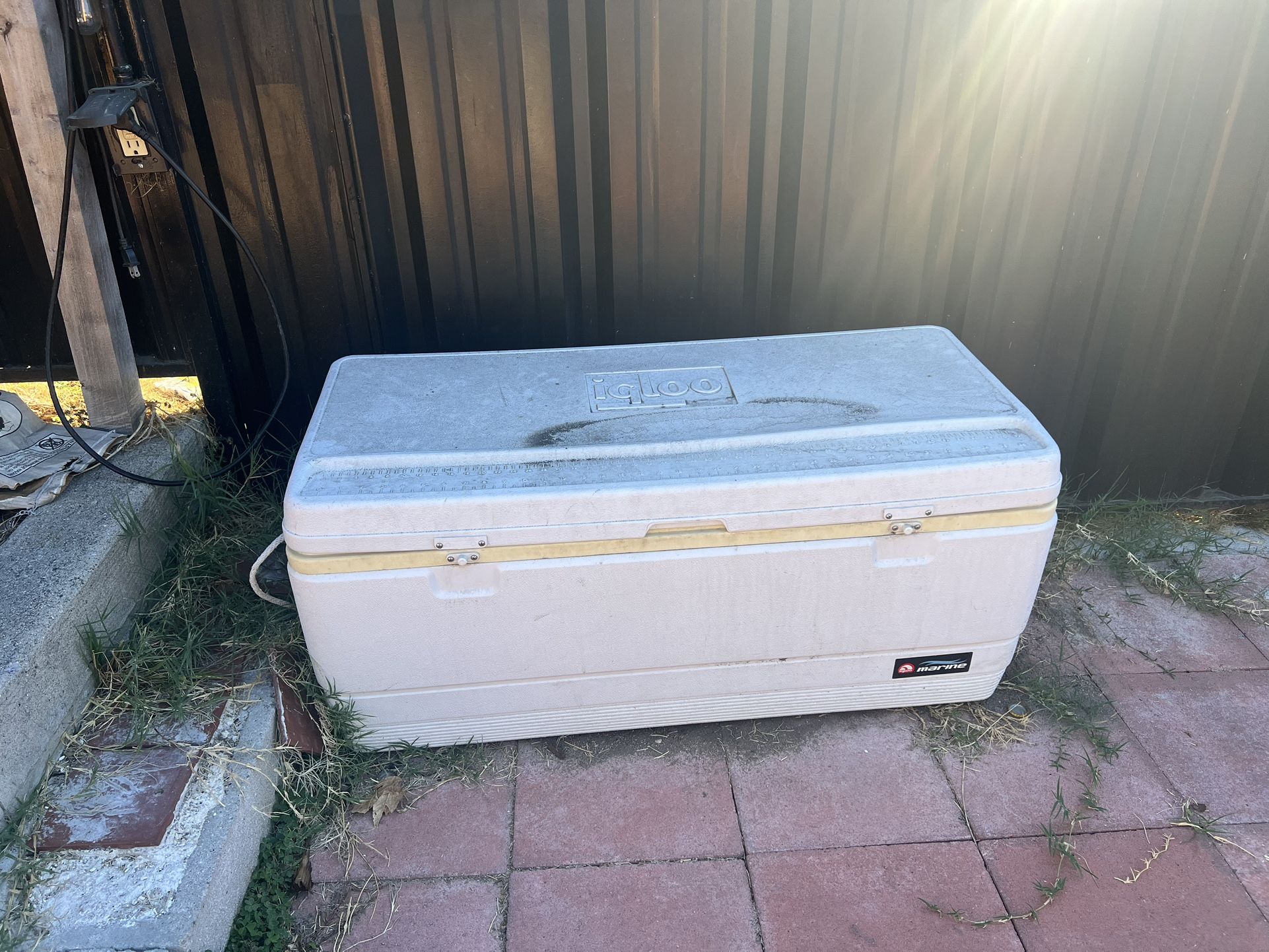 Large Cooler (Igloo Marine)