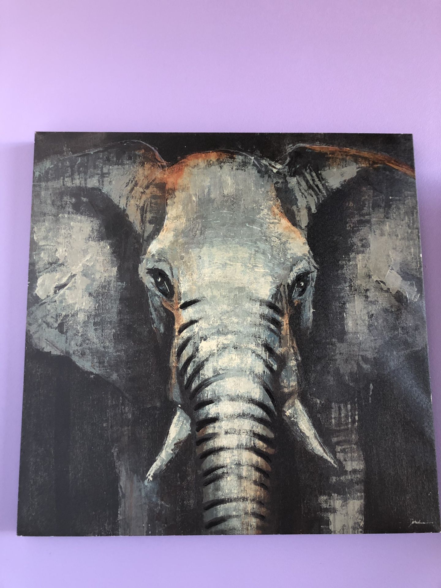 Elephant canvas picture