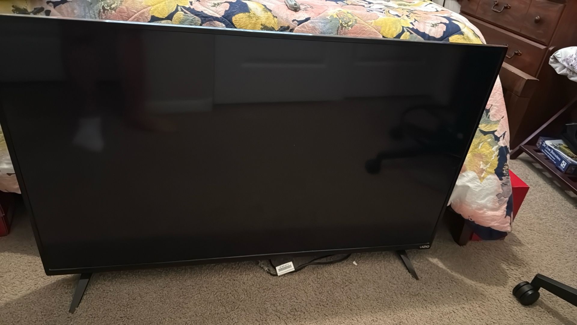 10 Year Old 55 Inch Visio TV