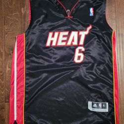 Vintage LeBron James Jersey 