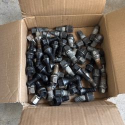 2006 Audi A3 Wheel Lugs