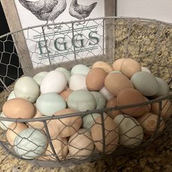 Organic farm fresh eggs