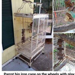 Pet Dome, Birds, Parrot Cage 