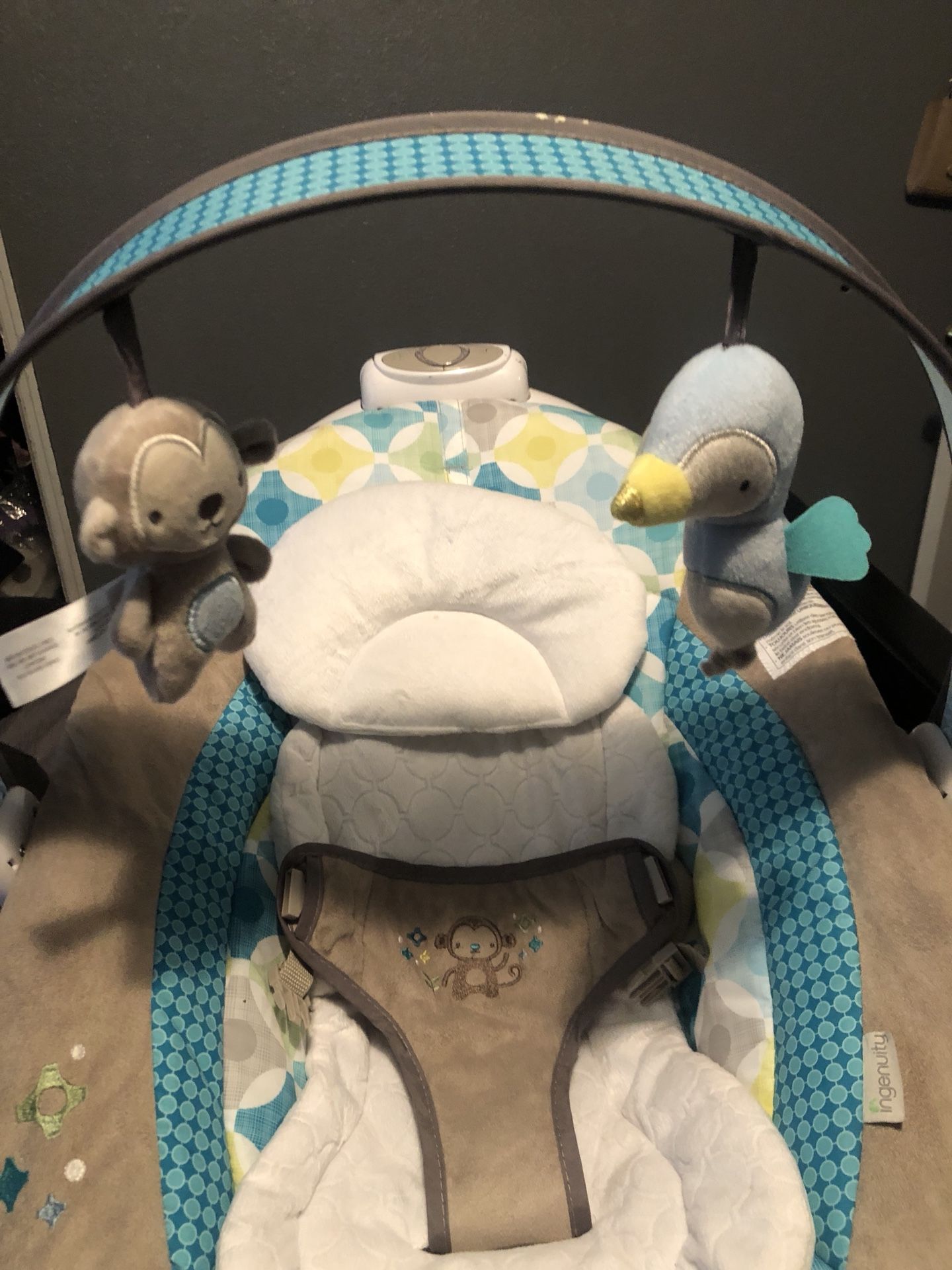 Ingenuity Smart Bouncer
